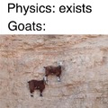 Goats defying physics