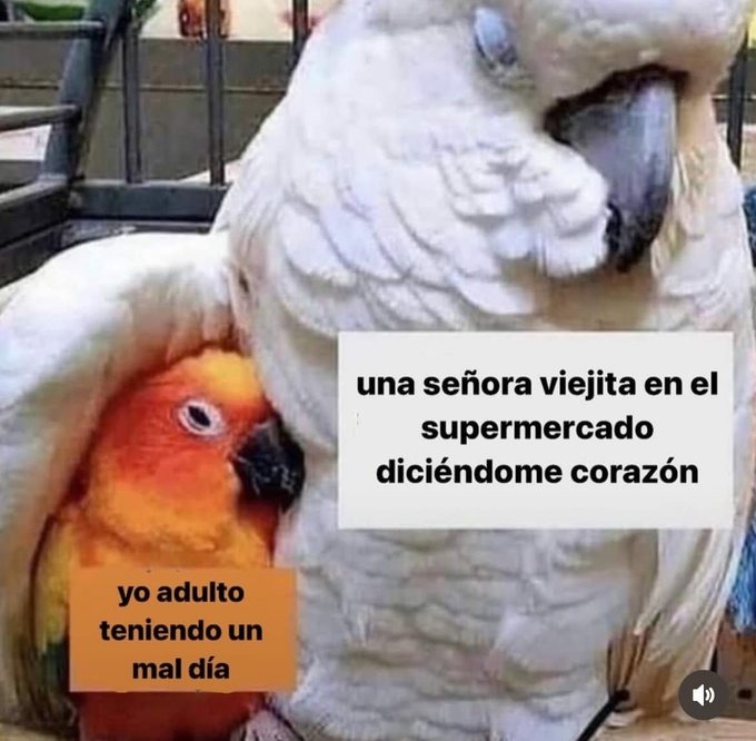 Gracias doña hoy lo necesitaba - meme