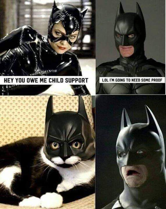 Bat cat - meme