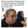 Blue cat person
