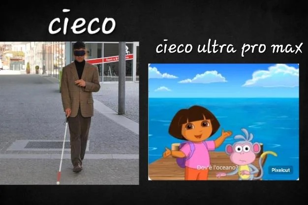 Fa schifo ma ok - meme