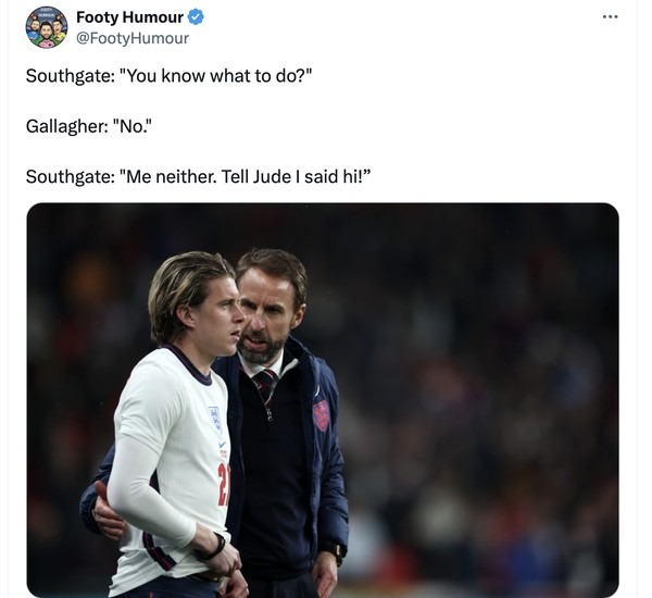 Gareth Southgate Euro 2024 meme