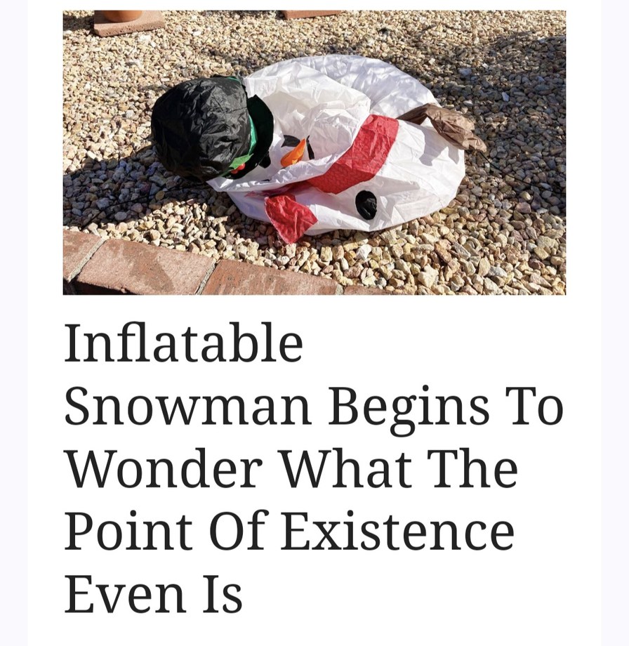 Jokke12345 has the brains God gave an inflatable snowman - meme