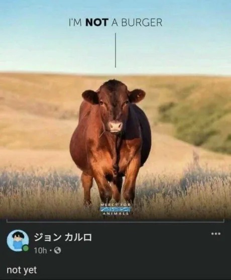 not yet - meme
