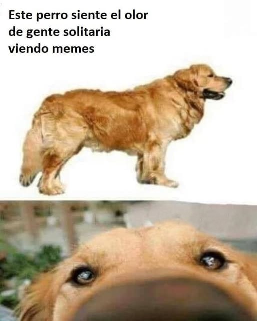 Tu también lo sabes - meme