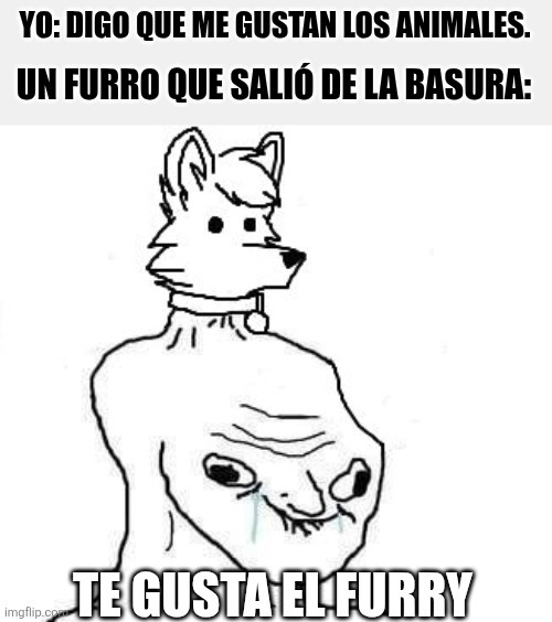 Algún furrodroider lo ha dicho - meme