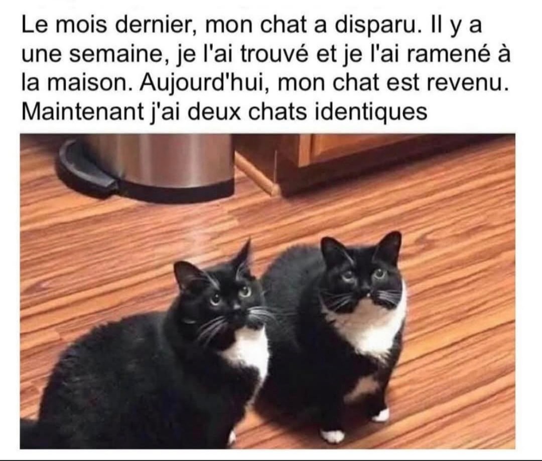 chat.exe x2 - meme