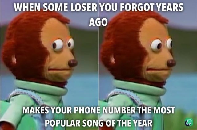 When some loser you forgot years ago makes your phone number the most popular song of the year - meme