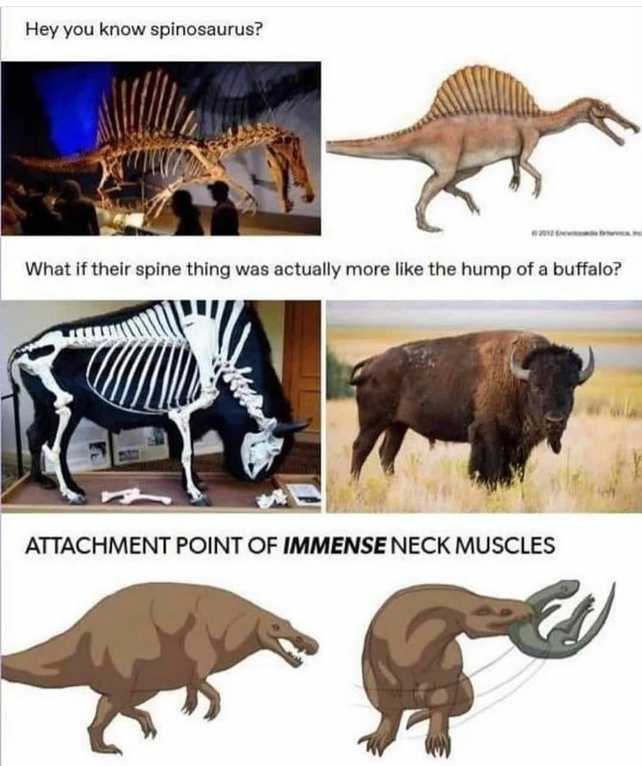 Thiccasaurus Theory - meme