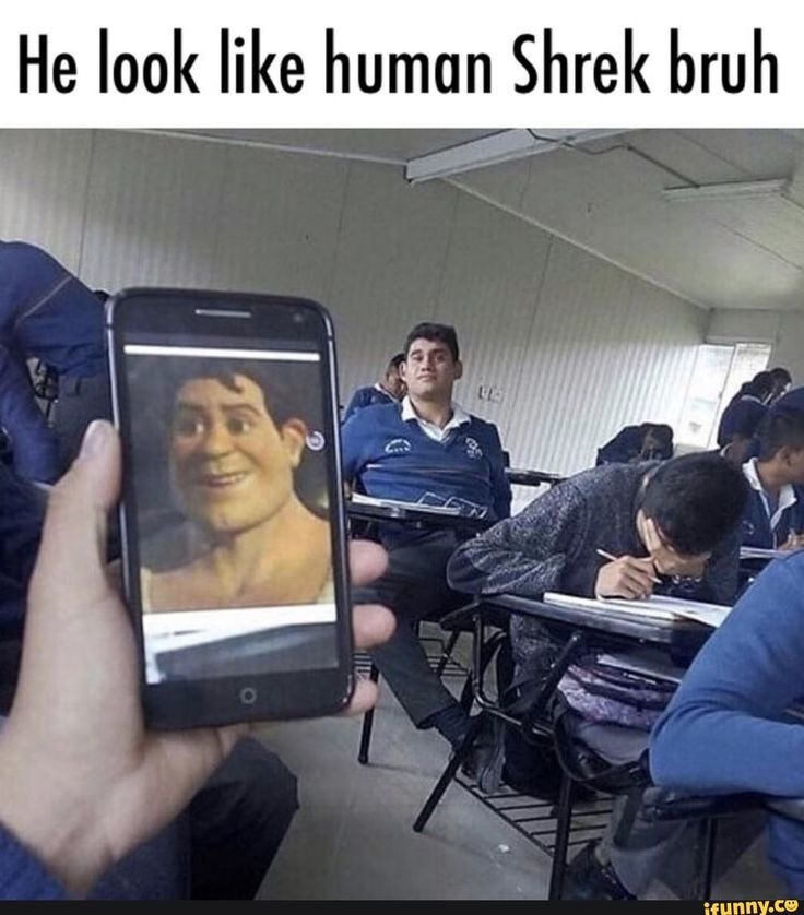 Bro is human shrek  - meme