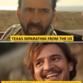 Texas vs US