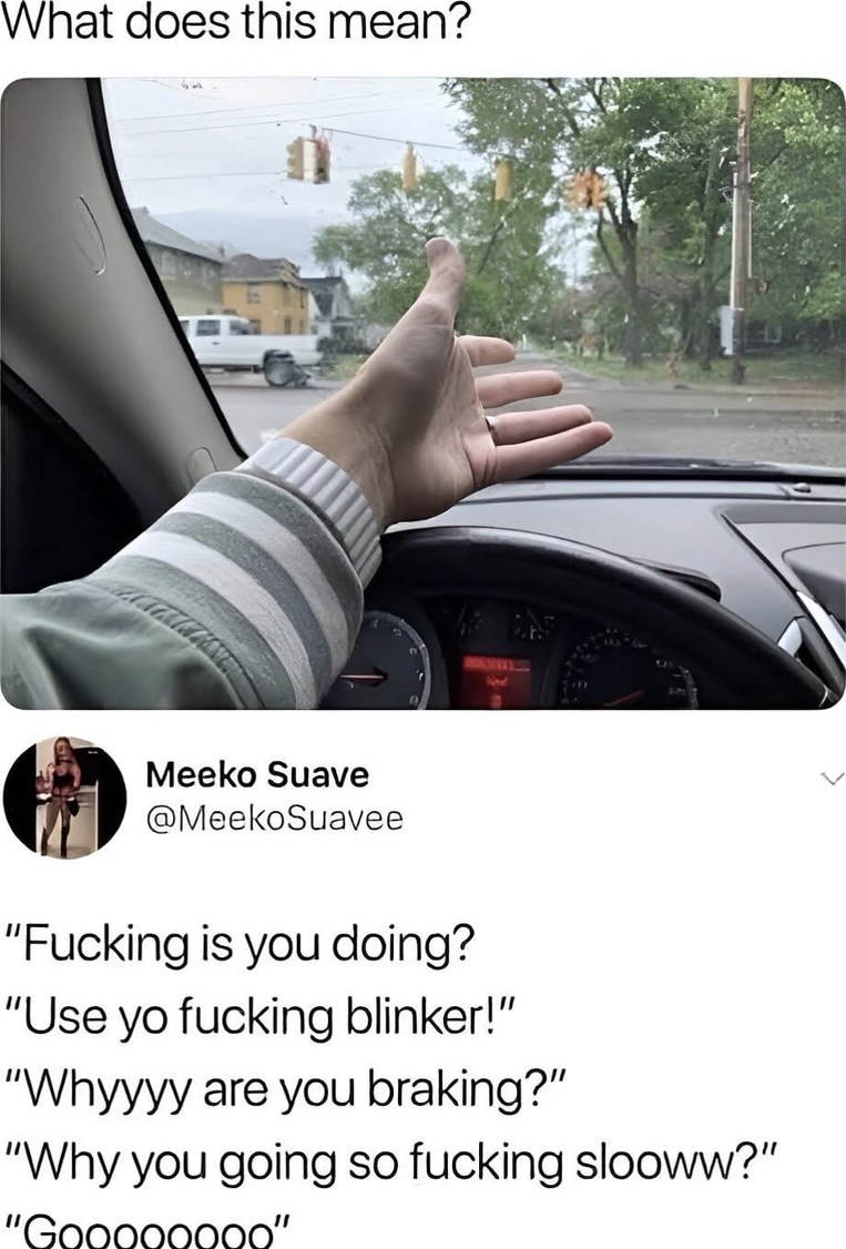 What does this mean - meme