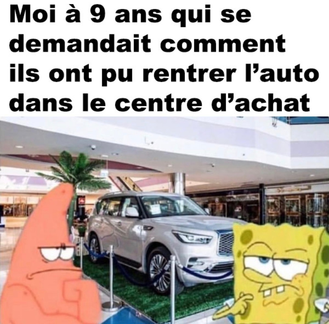 Moi à 9 ans qui capte pas comment la voiture est entrée dans le centre co - meme