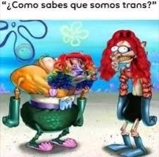 Muejeje, robando memes de hace 2 años