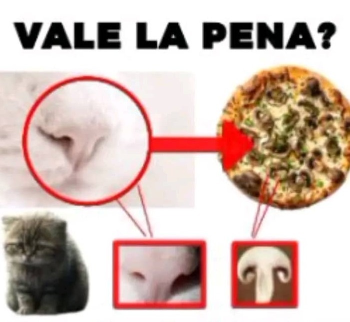 No vale la pena - meme