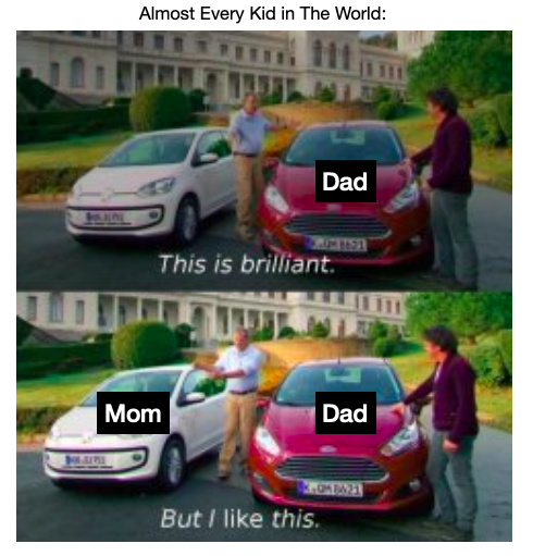 Mom vs Dad - meme