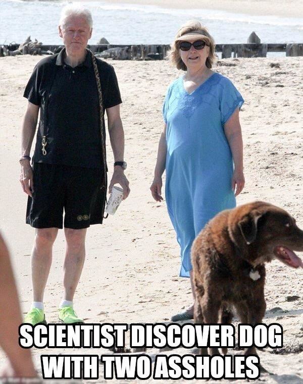 Scientist discovered dog with two assholes - meme