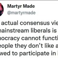 Not how democracy works