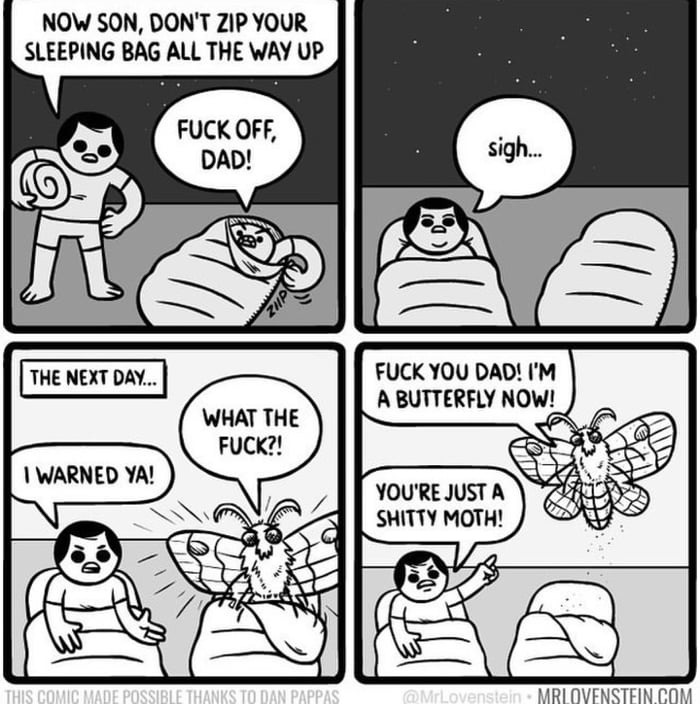 A shitty moth! - meme