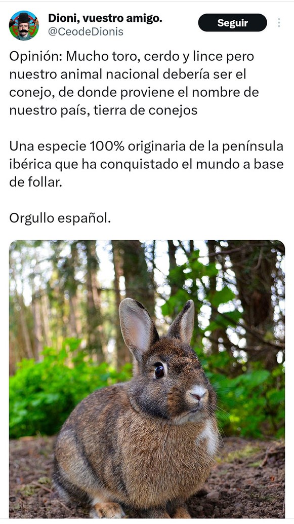 Los Últimos Memes :) Memedroid