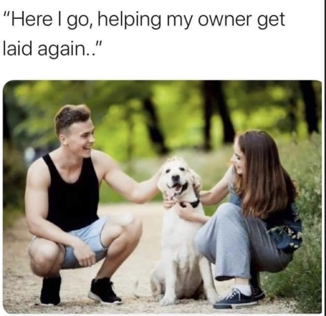 Good boy - meme