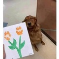 Dog's painting