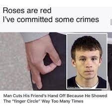 roses are red violets are blue l've committed a crime so have you - meme
