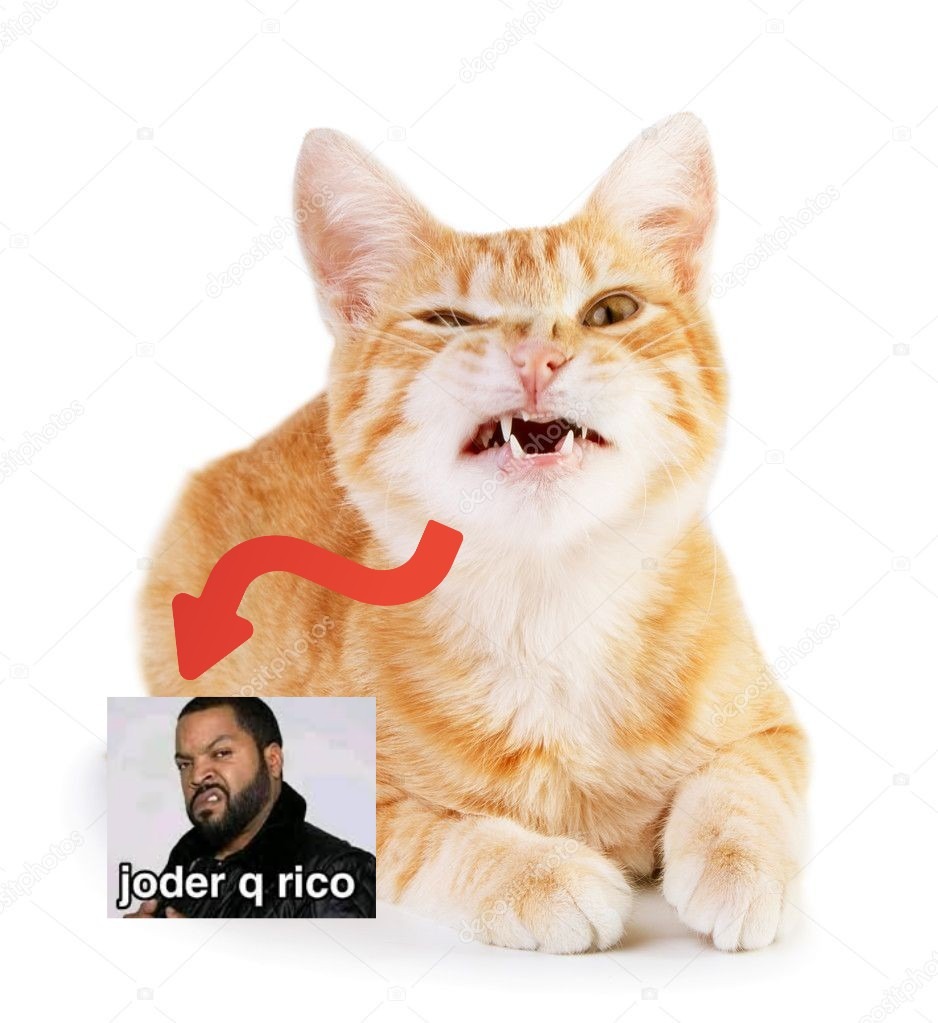 Miau que rico - Meme by Usu4rio_prmedio_2 :) Memedroid