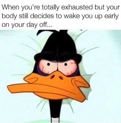Body: it's your day off. Brain: rise and suffer - meme