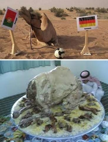 Povero cammello sempre in tema germania -potogallo - meme