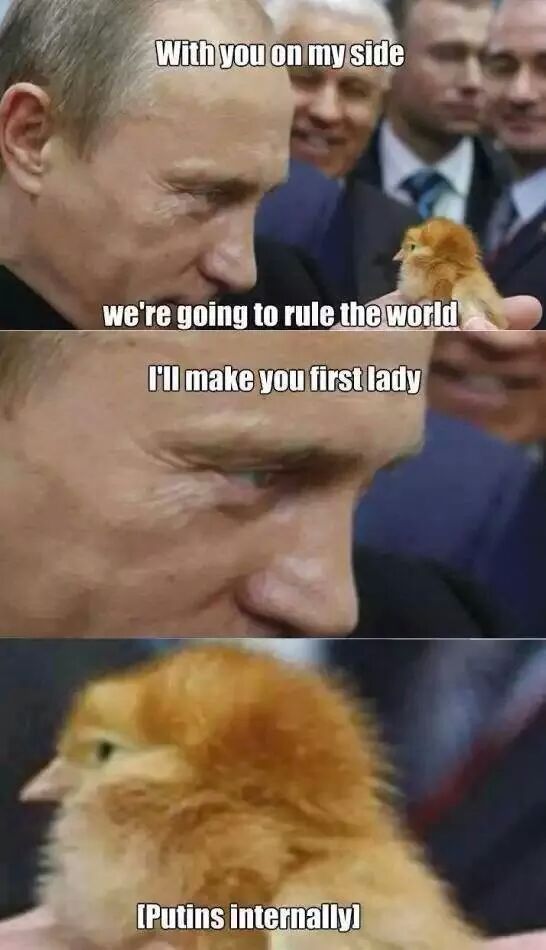 PUTIN. he gets chicks - meme