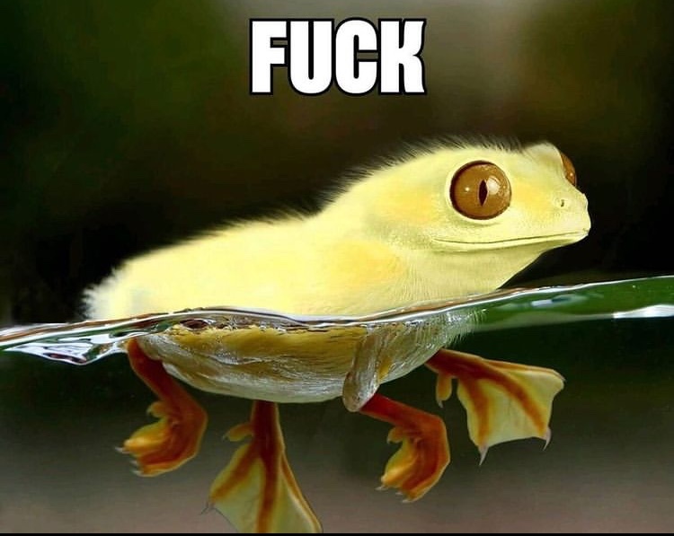 frog + duck - meme