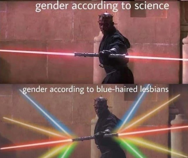 Gender fluid - meme