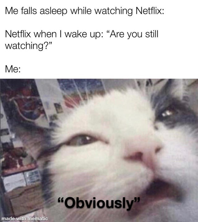 Are you still watching? Yes. - meme