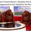 Epstein island meme