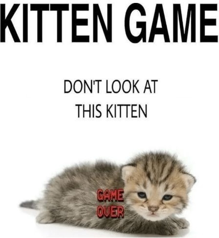 Kitten game - meme