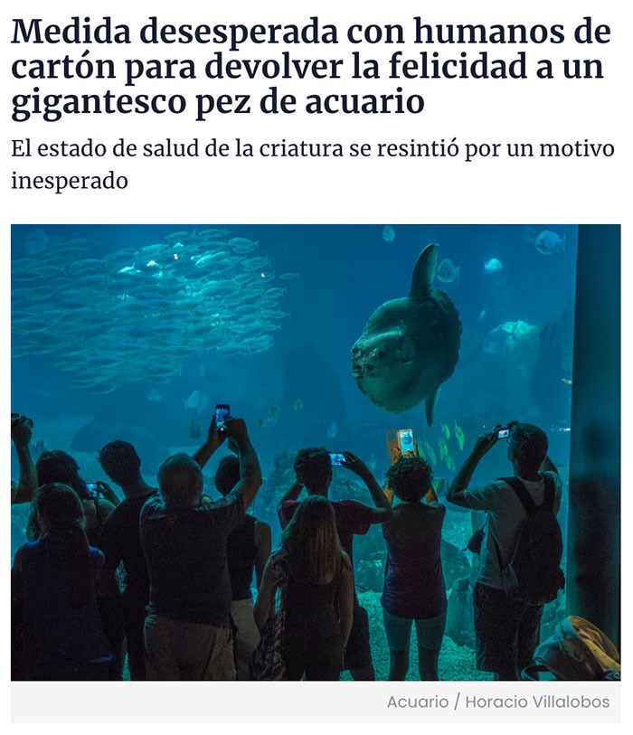 La fama es una adicción - meme