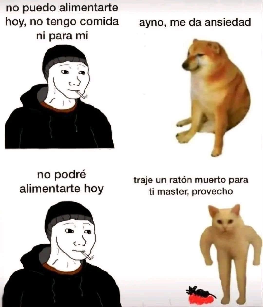 Provecho - meme