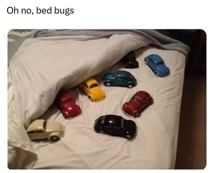 Bed bugs? Oh no. Oh no no no - meme