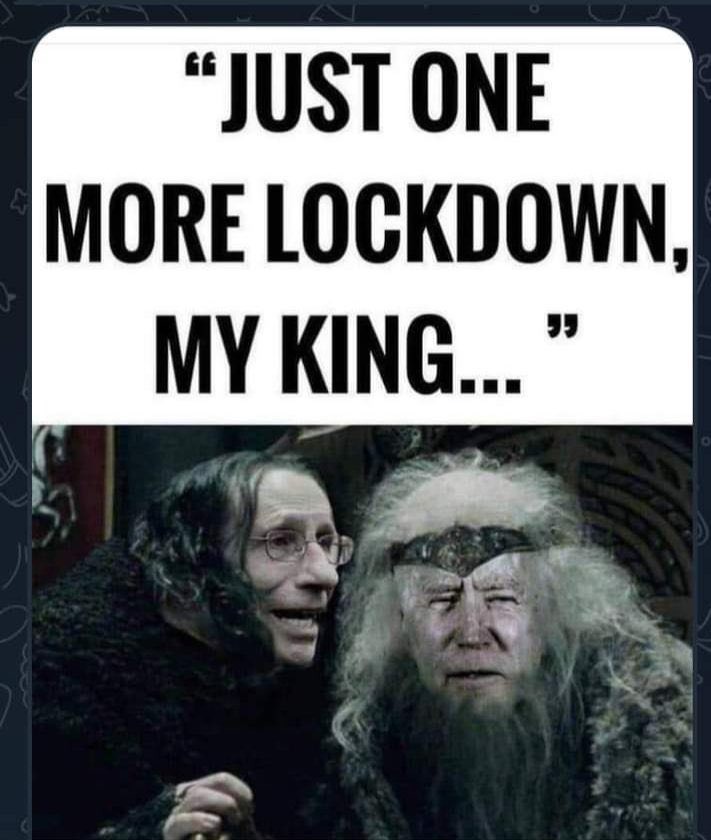 Just one more lockdown my king - meme