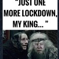 Just one more lockdown my king