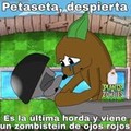 Petaseta