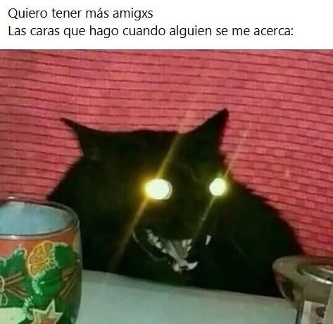 quiero más amigos pero cuando se me acercan hago estas caras - meme