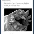 this is where the laughs microscopically comes from