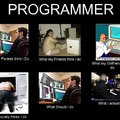 programmer: