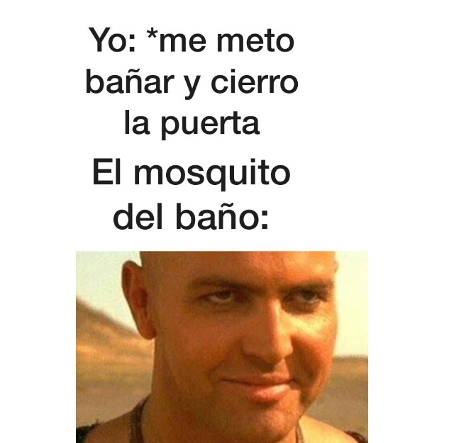 che mosquito - meme
