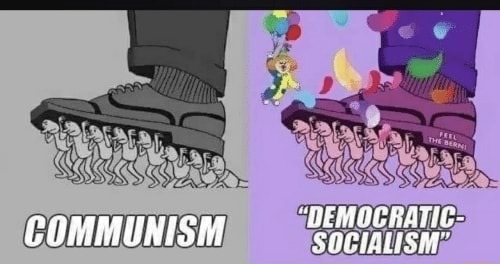 Democratic socialism - meme