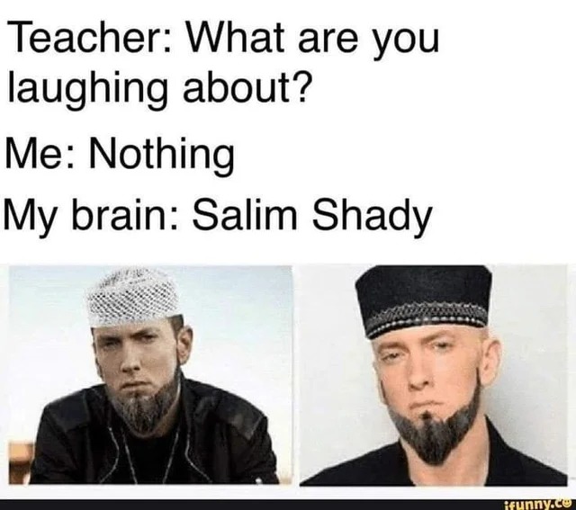 Salim shady - meme