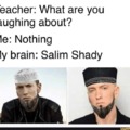 Salim shady