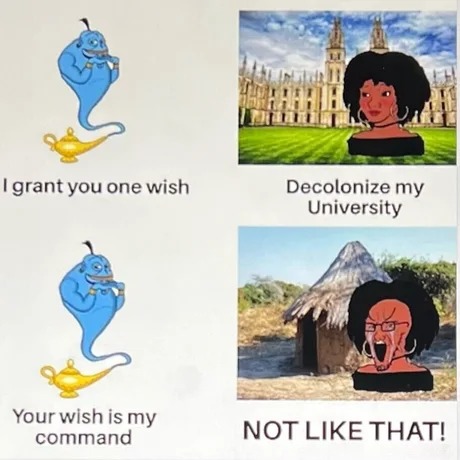 Decolonize the University lol - meme